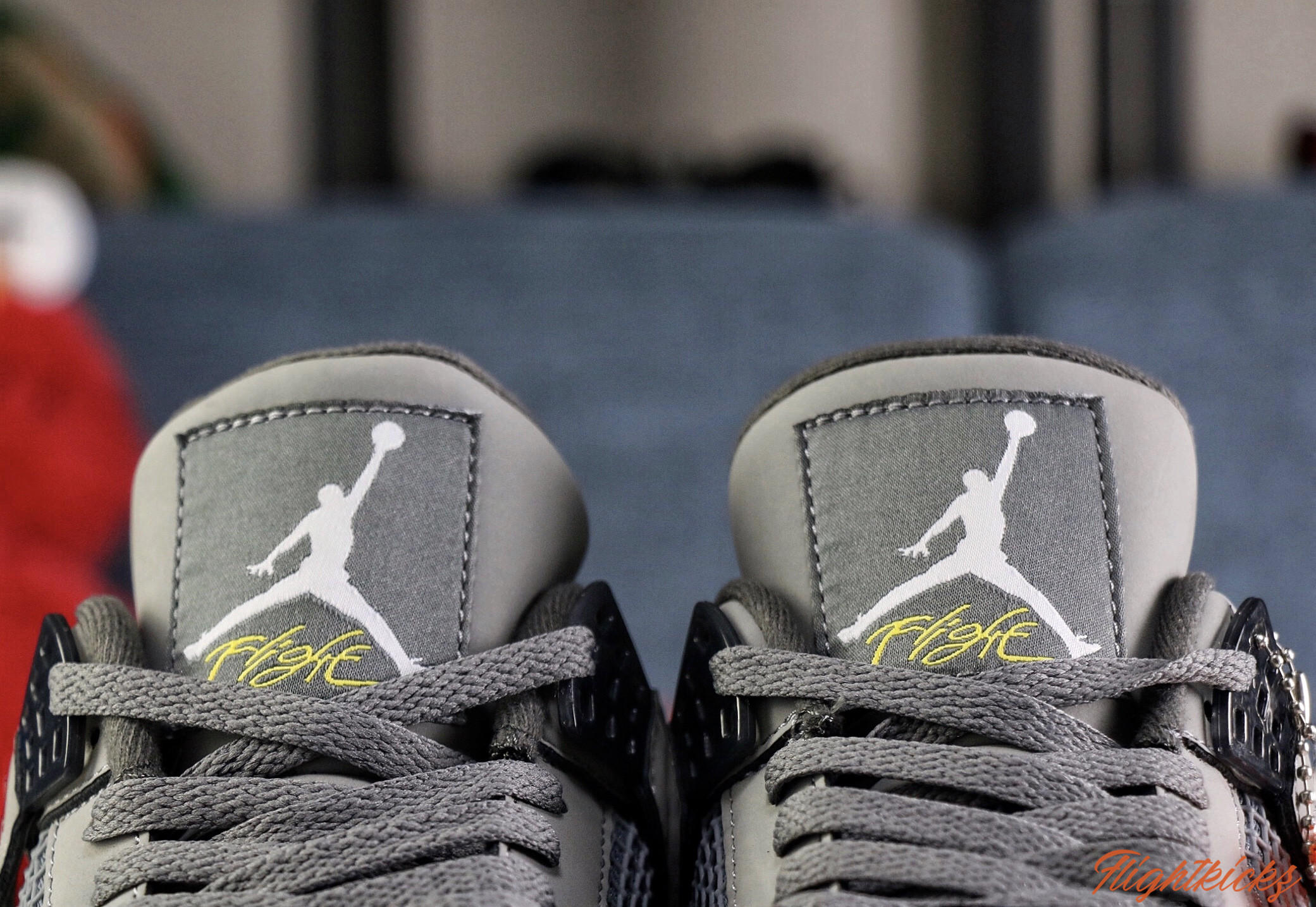 Air Jordan 4 Retro Cool Grey 2019 (LN5 A1 Batch)