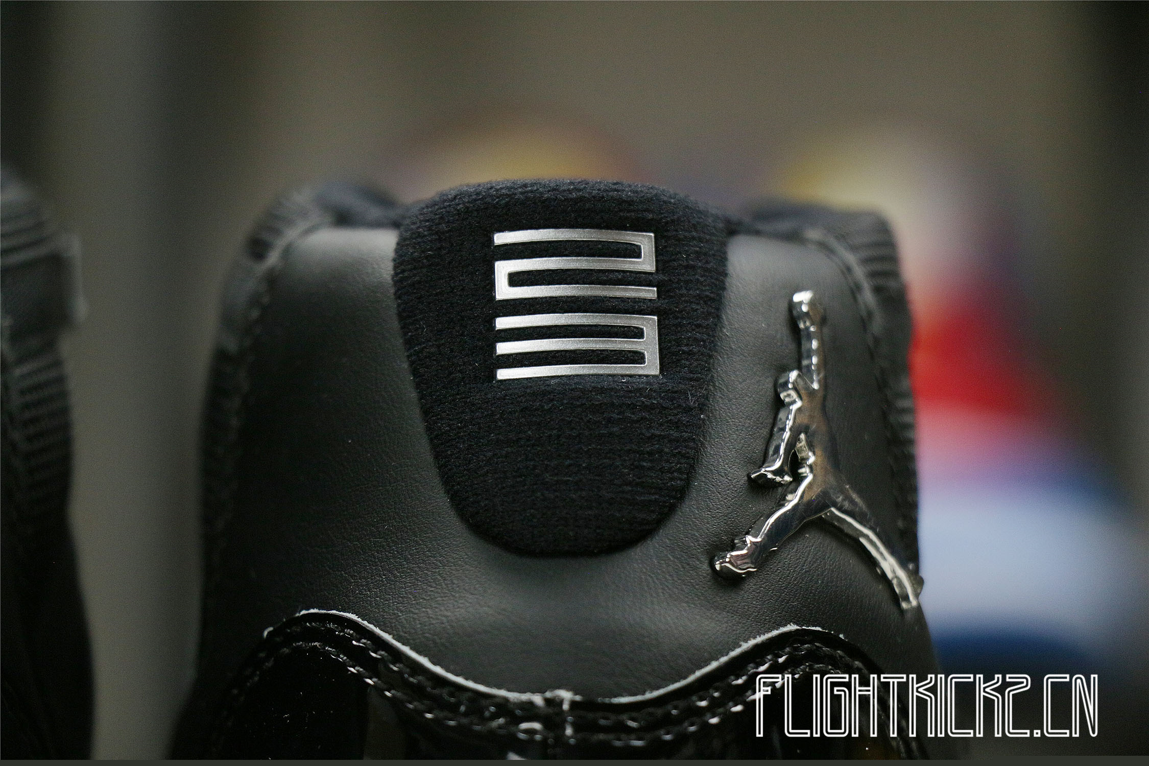 Jordan 11 Retro Jubilee 25th Anniversary GS (Ln5 A1)