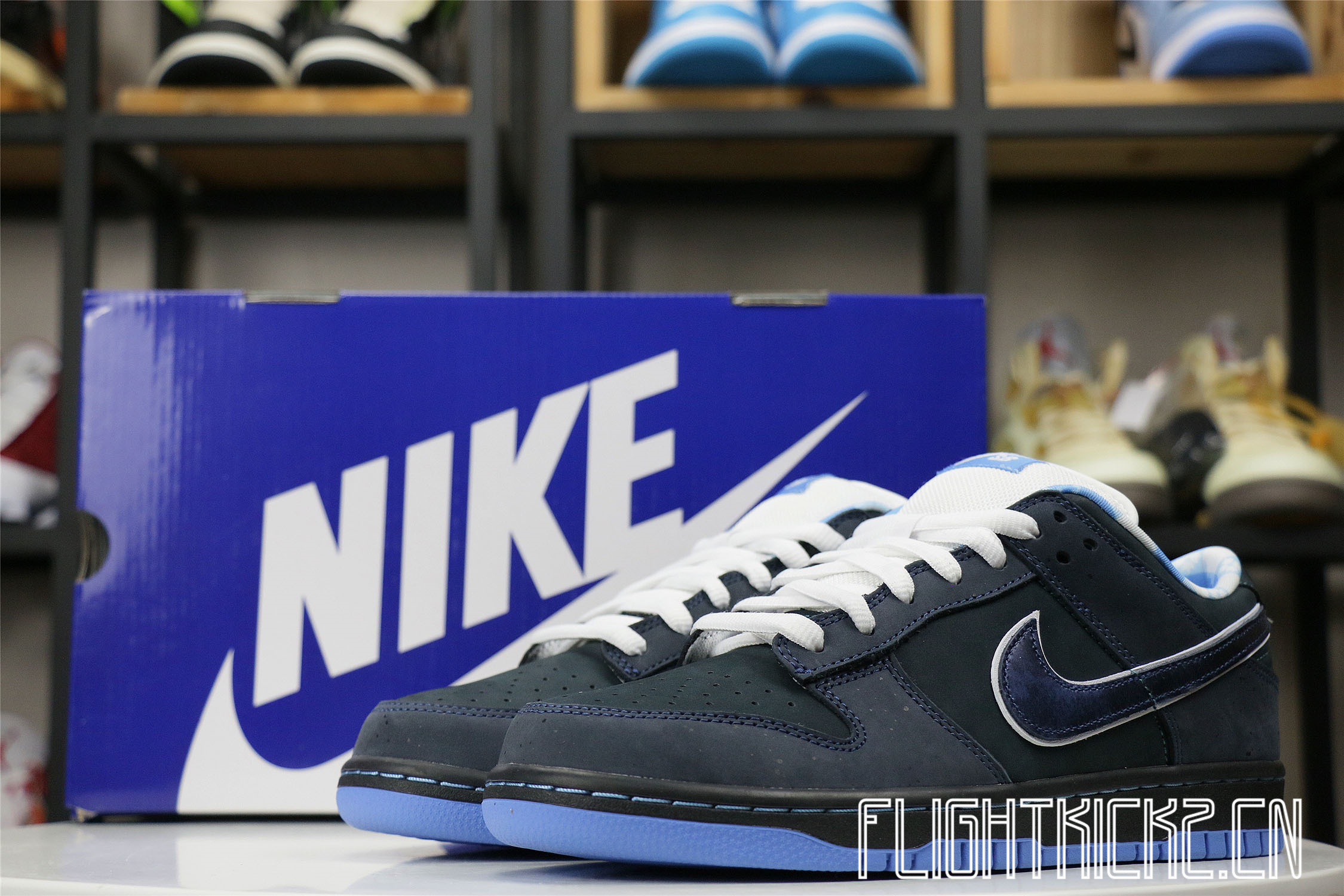 Nike Dunk SB Low Blue Lobster
