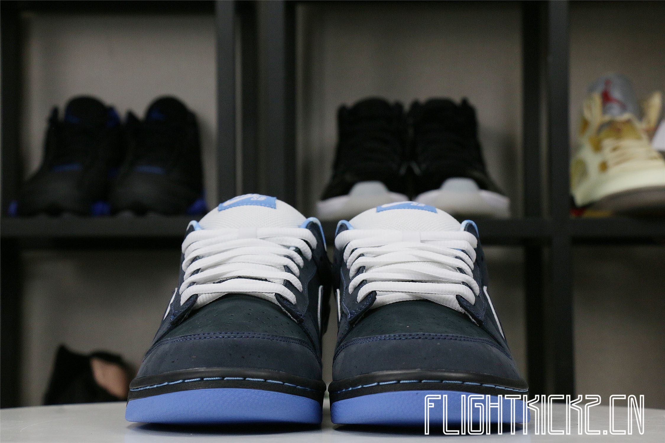 Nike Dunk SB Low Blue Lobster