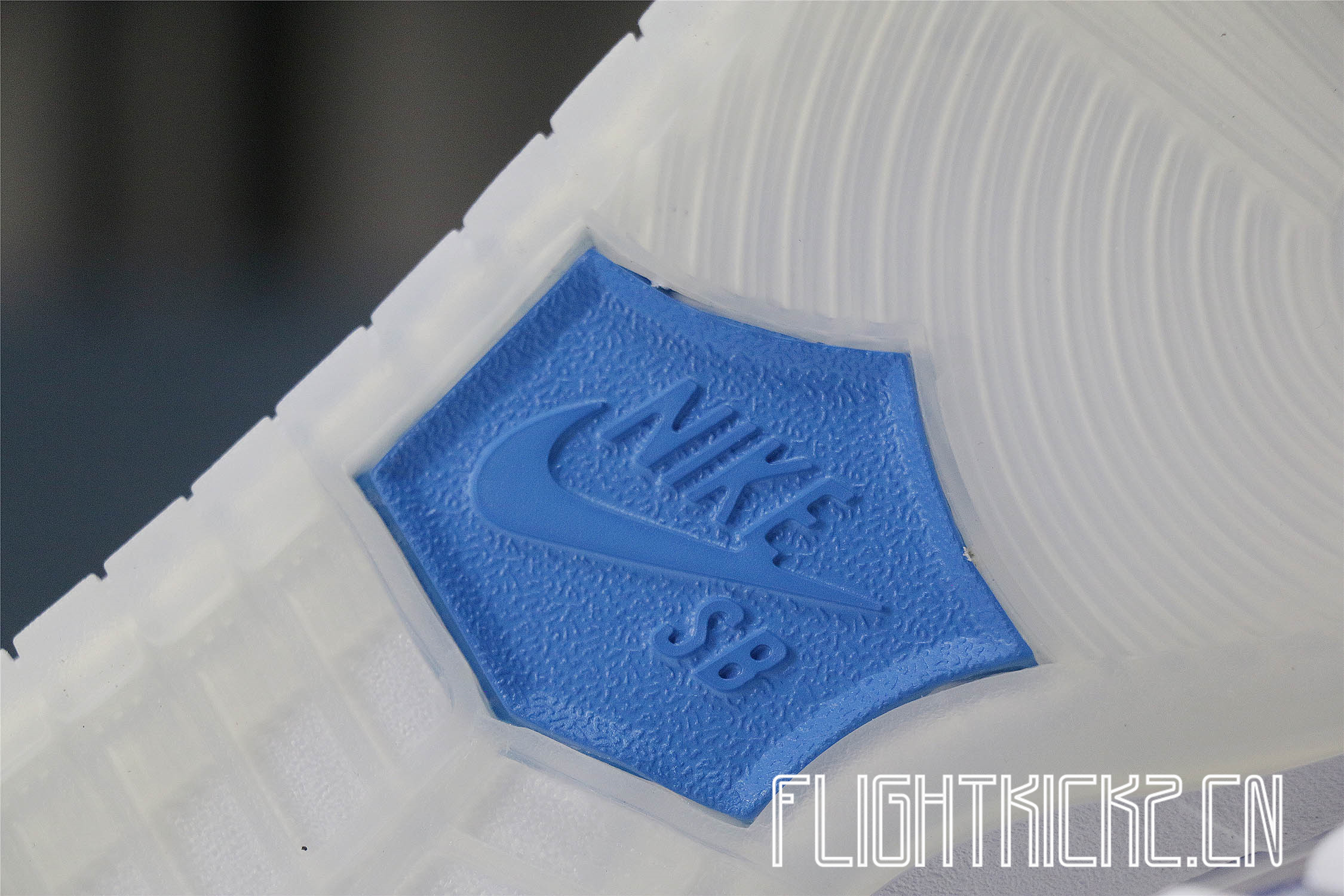 Nike Dunk SB Low Ishod Wair BMW