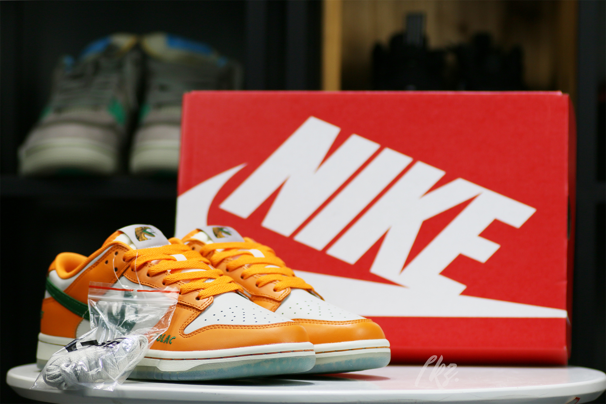 Nike Dunk Low Florida A&M University