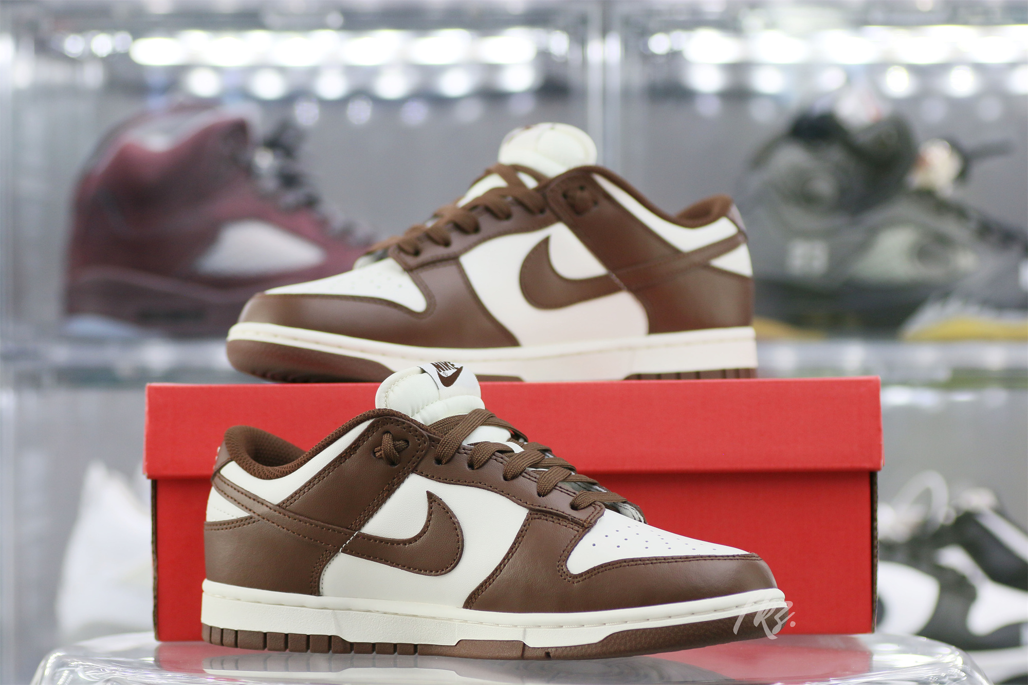 Nike Dunk Low Cocao Wow Brown Sail 2023