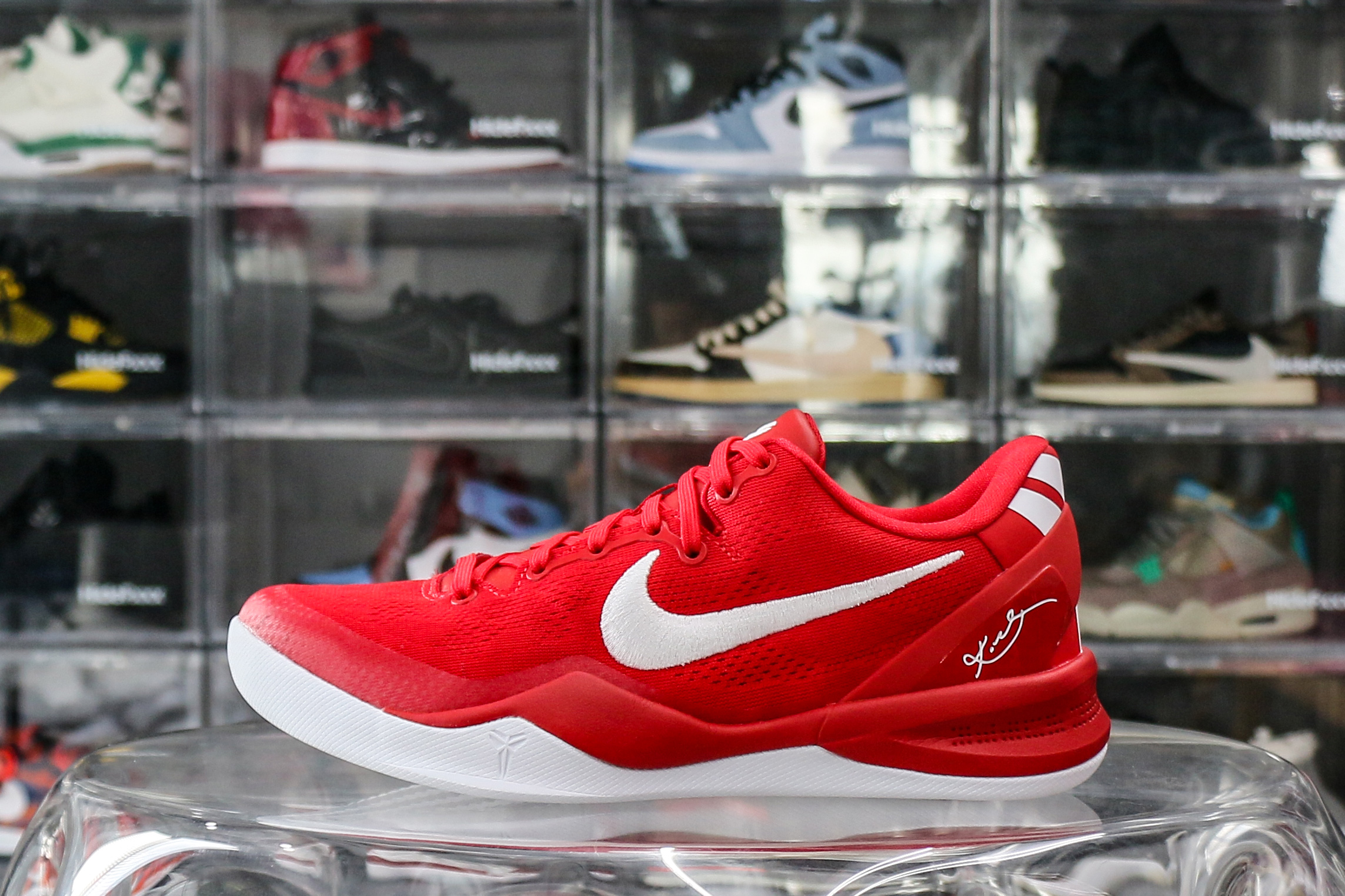 Nike Kobe 8 Protro University Red （2024）（Ln5 A1）