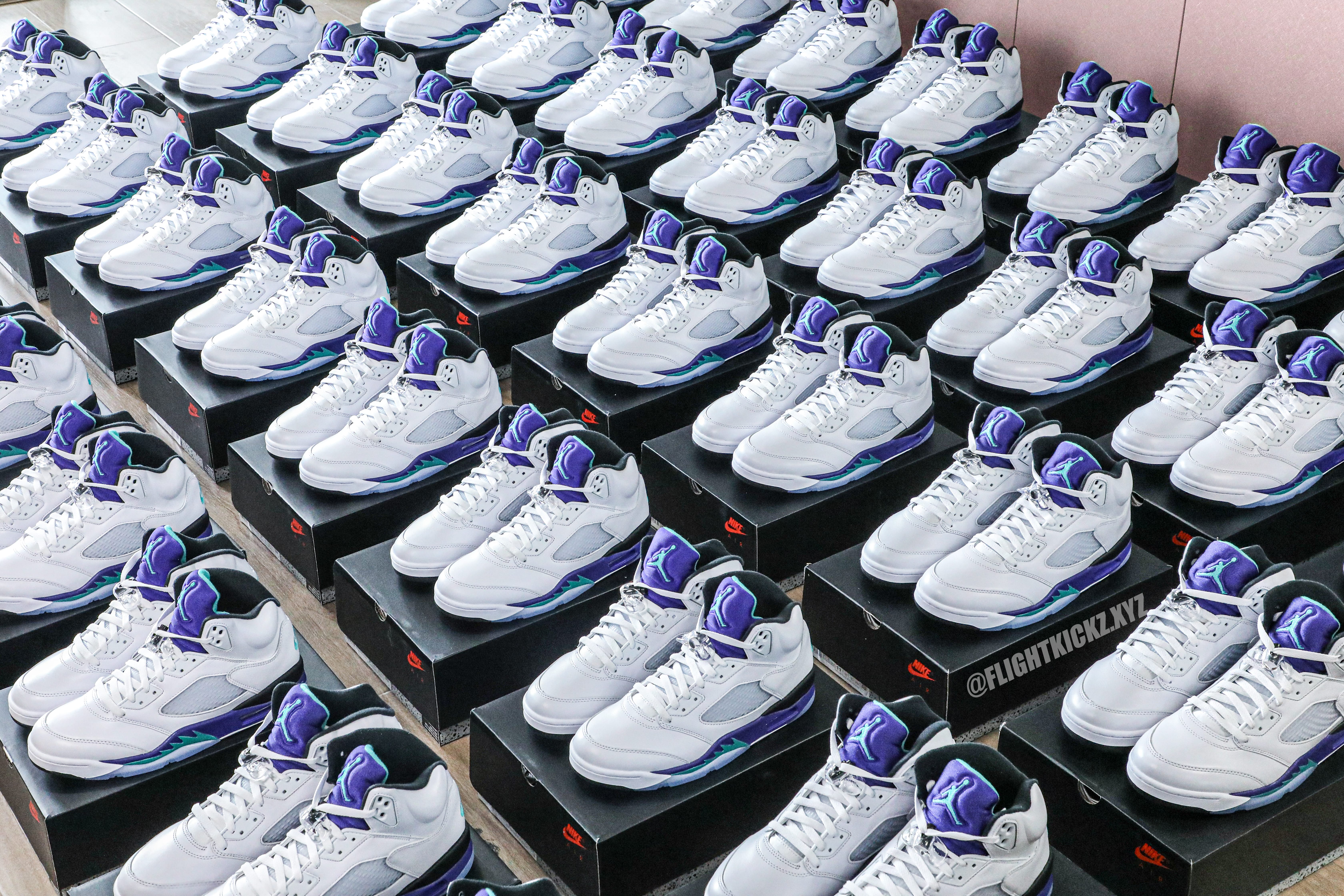Air Jordan 5 Retro Grape 2025 (Ln5 A1)