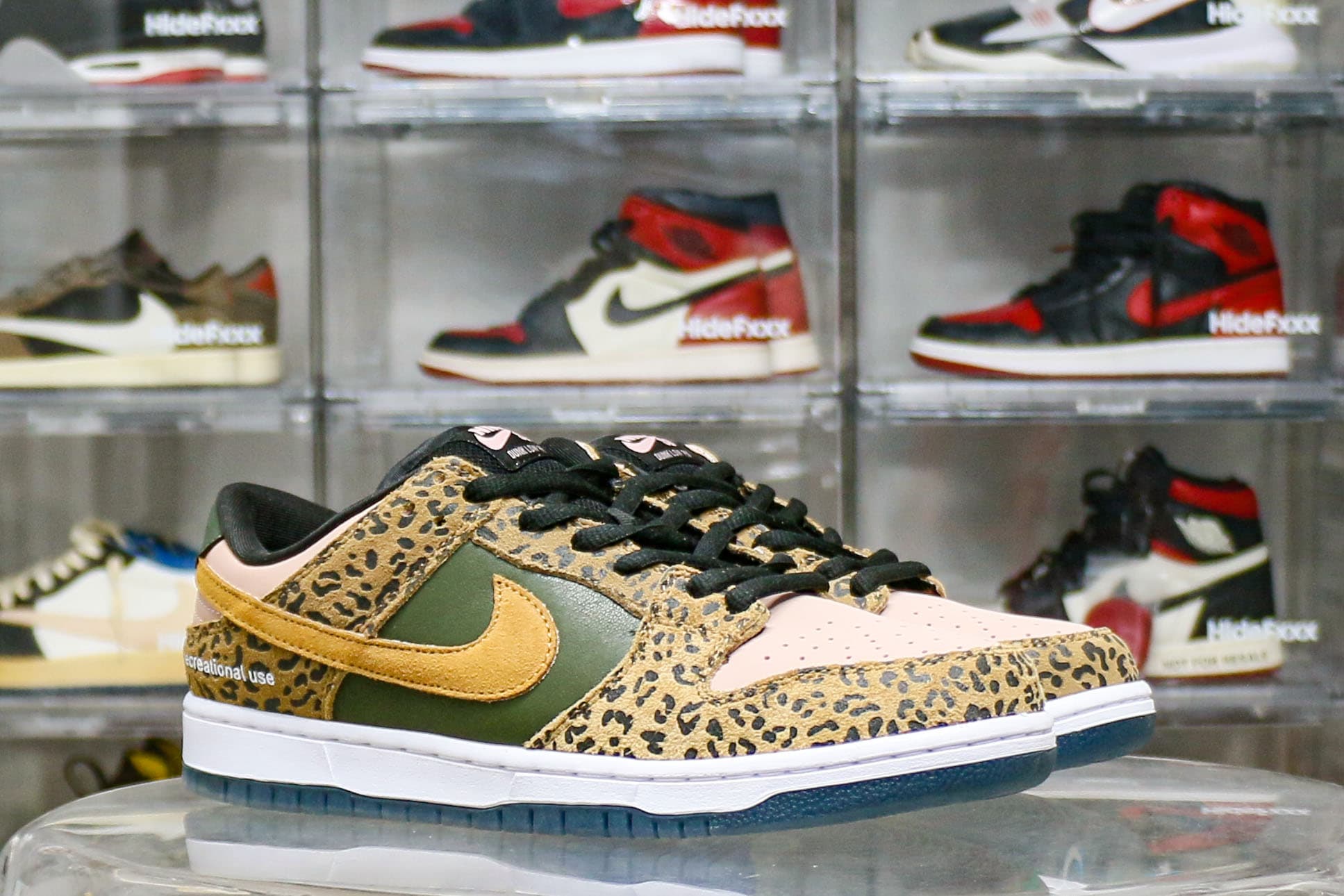 Arts Rec X Dunk Low SB For Recreational Use
